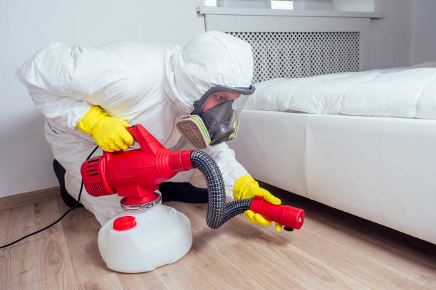 Best Affordable Pest Control Services  in Alderton, WA