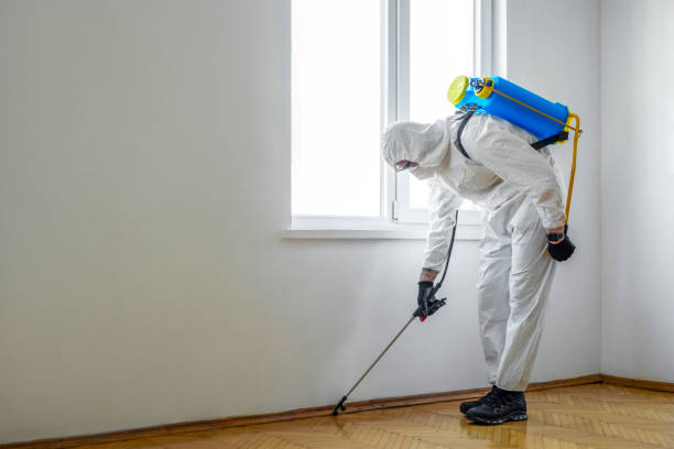 Best Pest Removal Services  in Alderton, WA