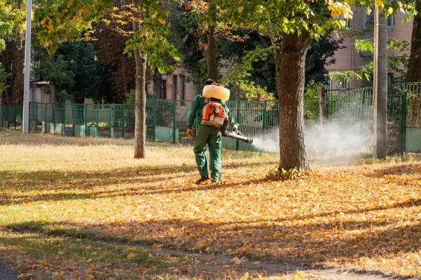 Best Mosquito Control Services  in Alderton, WA