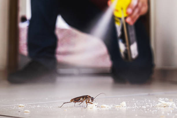 Best Wildlife Control Services  in Alderton, WA