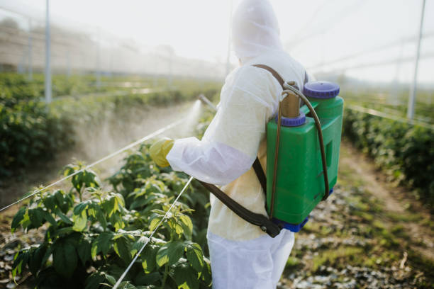 Best Commercial Pest Control Services  in Alderton, WA